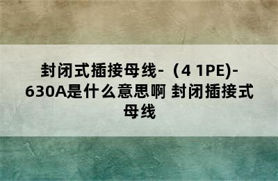 封闭式插接母线-（4+1PE)-630A是什么意思啊 封闭插接式母线